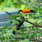 Bird Park Hambantota 01