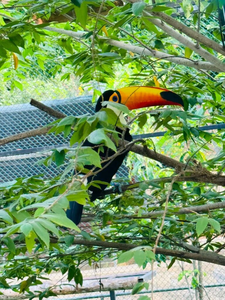 Bird Park Hambantota-By Kalani-eLanka