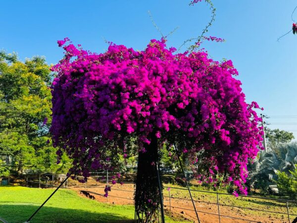 Bird Park Hambantota