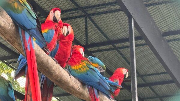 Bird Park Hambantota