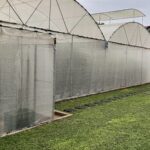 For Sale - 17 Perch Land & Greenhouse in Wijaya Mawatha, Athurugiriya