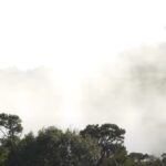 Horton Plains National Park-eLanka
