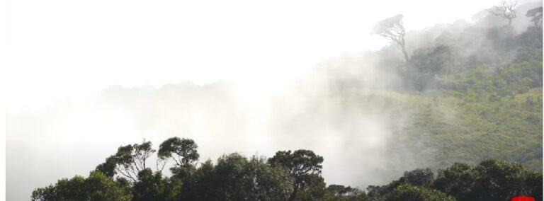 Horton Plains National Park | Sri Lanka