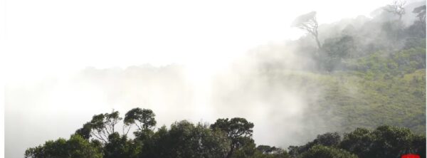 Horton Plains National Park-eLanka