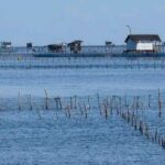 Jaffna-eLanka