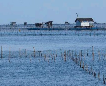 Jaffna- a brief pictorial on Lagoon Fishing – March 2024