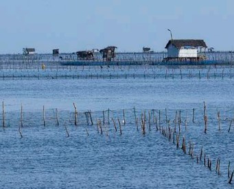 Jaffna-eLanka
