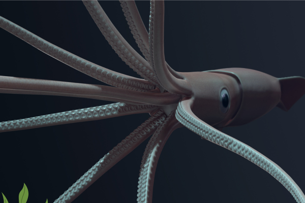 The Giant Squid Master of the Deep
