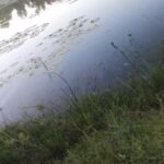 kolamadiriya