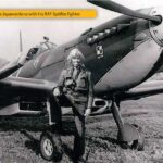 IN MEMORIAM CAPT. EMILE JAYAWARDENA - By Elmo Jayawardena