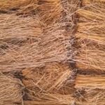 Noodles from Jackfruit-eLanka
