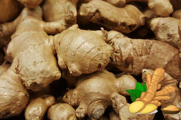 Ginger
