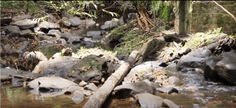 Kalugala Aranya With meditation in mind