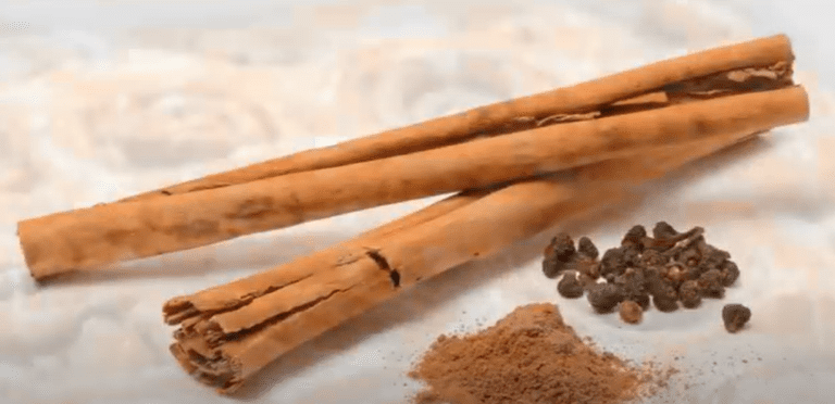The Mysterious History of Cinnamon