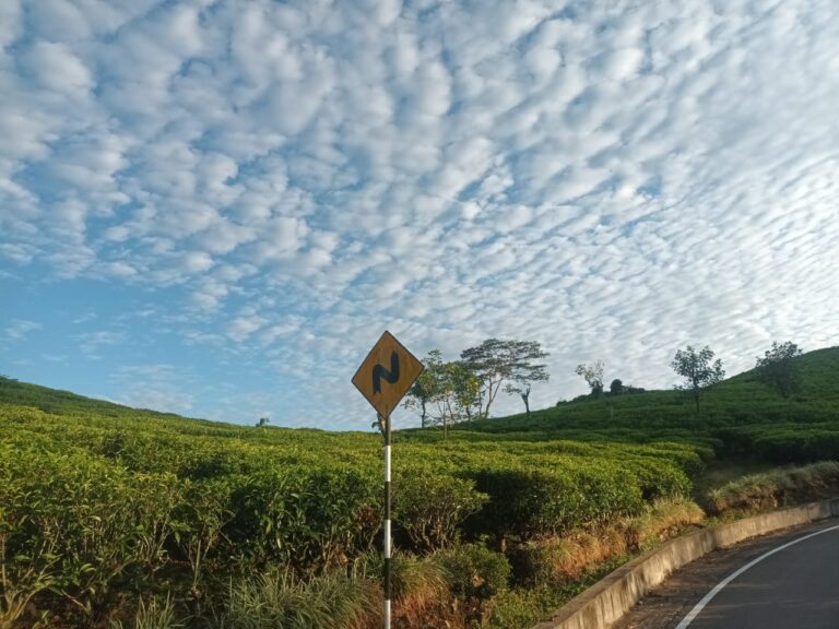 Sri Lanka a Wealthy Nation at all Times –  By Gowri Shankar