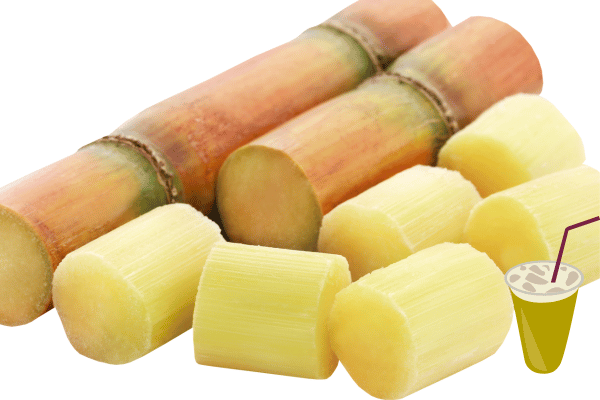 Sugarcane