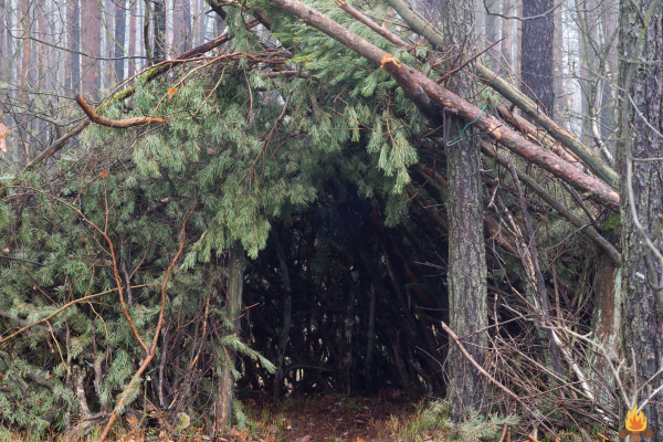 Survival Skills