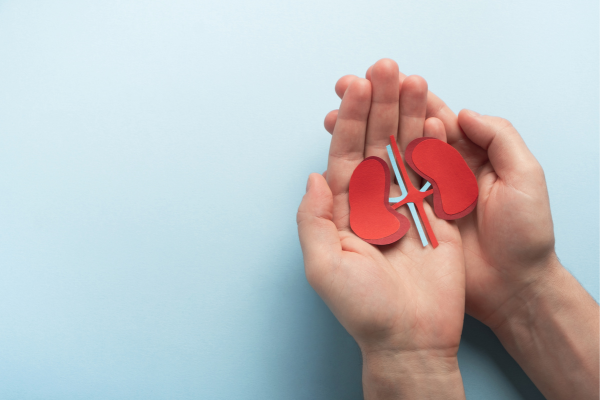 kidney health,