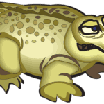 Crocs-eLanka