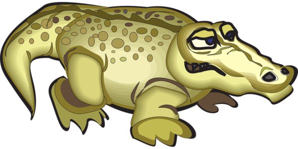 Crocs-eLanka