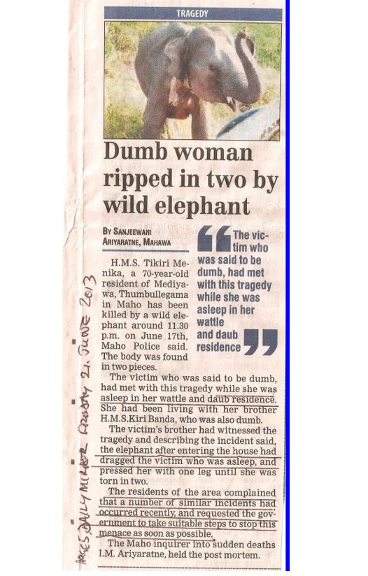 ONE HUNDRED AND FIFTY YEARS AFTER ROGERS 10