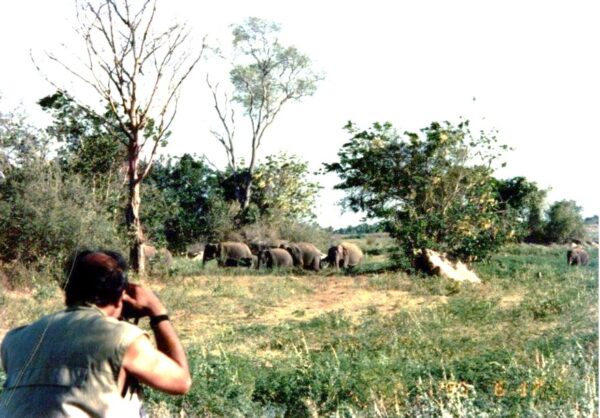 ONE HUNDRED AND FIFTY YEARS AFTER ROGERS 4