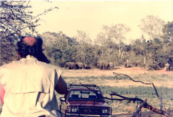 ONE HUNDRED AND FIFTY YEARS AFTER ROGERS 6