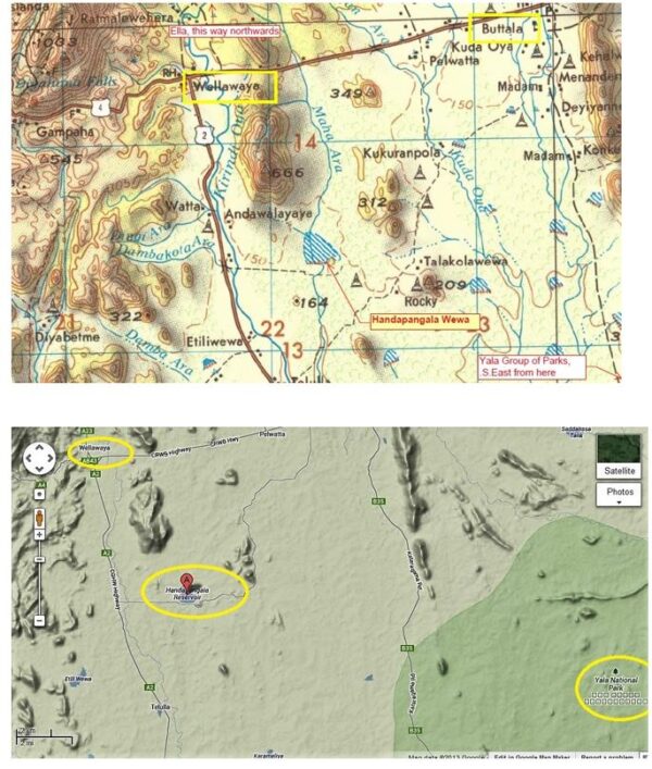 ONE HUNDRED AND FIFTY YEARS AFTER ROGERS 7