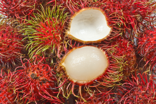 Tropical Rambutan Smoothie – By Malsha – eLanka