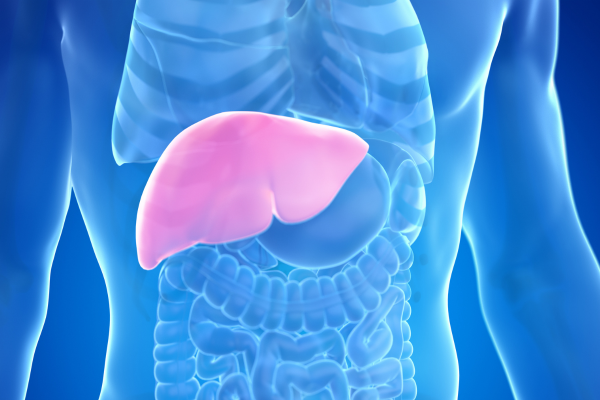 Symptoms of liver disease