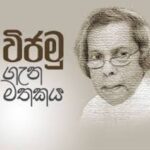 Vijamu