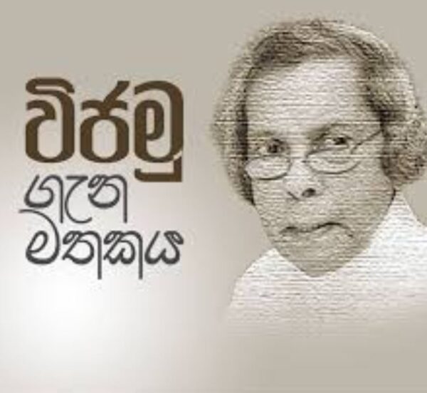 Vijamu
