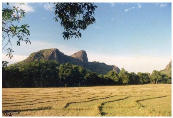 nilgala