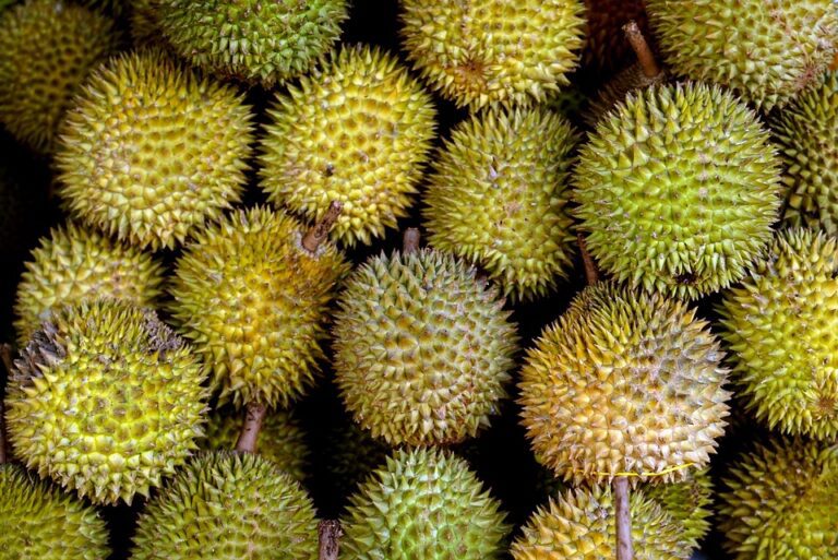 Durian: The King of Fruits-by Kalani-eLanka
