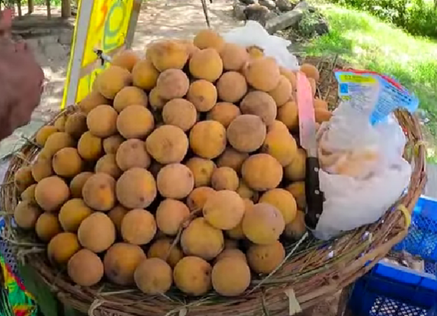 donga fruit-eLanka 01