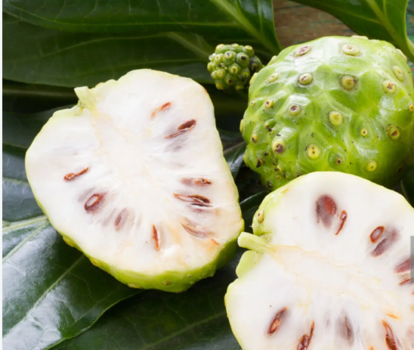 Anoda Fruit-eLanka 03