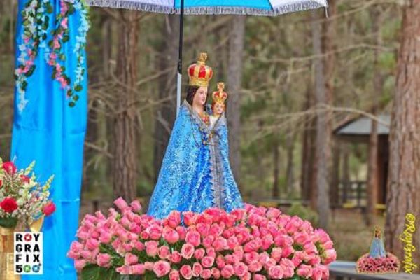 Photos of Madhu Feast 2024 at Penrose Park, NSW - Photos Thanks to Roy Grafix