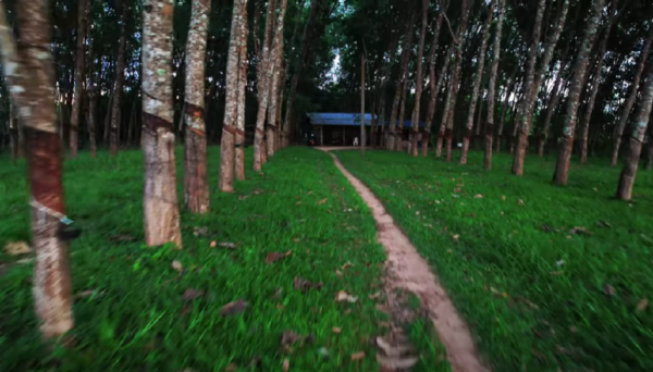 Village Life in Sri Lanka-eLanka