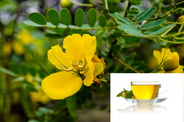 Ranawara Tea