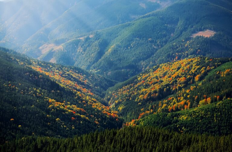 Breathtaking Scenery as Far as the Eye Can See- By Risidra Mendis