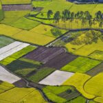 Paddy Lands-eLanka