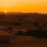 Sahara Desert