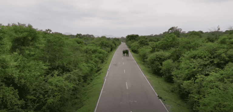 Sri Lanka-The best place to spend winter