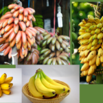 Discover the Rich Heritage and Flavors of Sri Lanka's 29 Banana Varieties