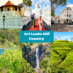Discovering Sri Lanka’s Hill Country: A New Zealander’s Journey Through Kandy & Nuwara Eliya