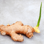 How to Grow Ginger in Water A Beginner’s Guide to Hydroponic Gardening - By Jayadeva De Silva