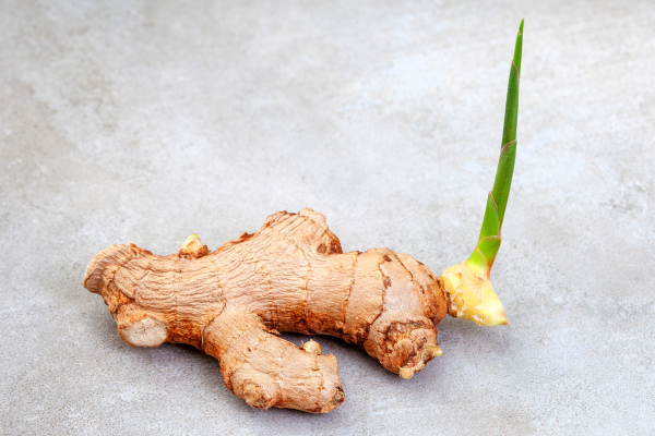 How to Grow Ginger in Water A Beginner’s Guide to Hydroponic Gardening - By Jayadeva De Silva