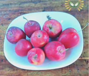 Strawberry Apple-eLanka