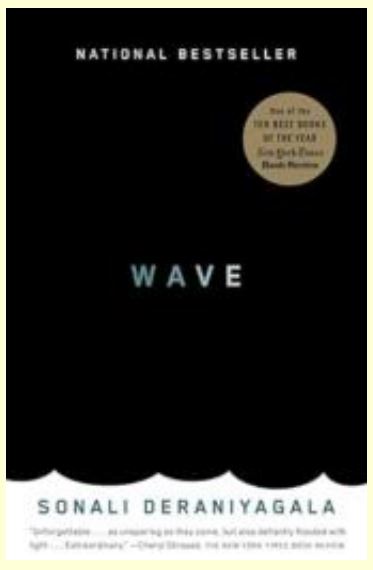 Wave – Memoir of Life After Tsunami by Sonali Deraniyagala