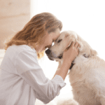 pet dog